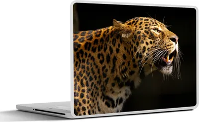 Produktbild von MuchoWow® Laptop Aufkleber Sticker Cover Seitenansicht eines Leoparden, gerendert auf schwarzem Hintergrund 30x22 cm - Laptop-Sticker