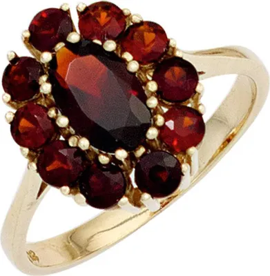 Produktbild von JOBO Damen Ring 375 Gold Gelbgold 11 Granate Goldring Größe 52
