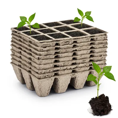 A stack of peat pots with small seedlings growing in some of them, and one seedling with soil in the foreground.