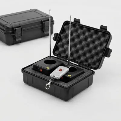 Zdjęcie produktu dla SYSTEM DO ZDALNEGO ODPALANIA DZB01R-2 - 1 kanał z 2 podstawkami, Obraz wygenerowany przez AI