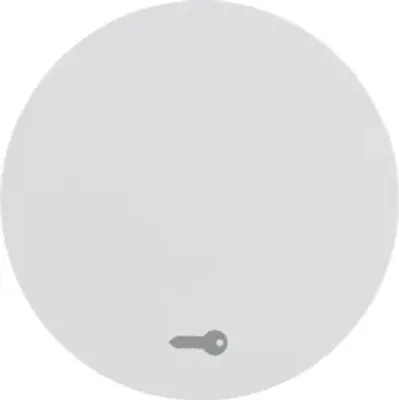 Image de Berker 16202059 Bascule avec impression symbole porte blanc polaire,brillant Berker R.1/R.3