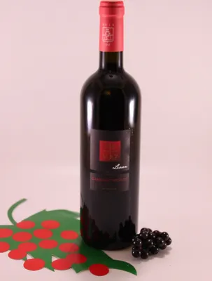 Image de Cabernet Merlot Riserva – 2017 – Weingut Glassierhof
