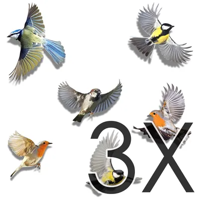 Image de Autocollants décoratifs en forme d'oiseaux pour fenêtres et murs (lot de 18)