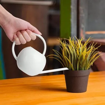 Immagine prodotto di Annaffiatoio in metallo Unyqoos® da 400 ml – bianco, compatto con beccuccio lungo, ideale per piccole piante da interno, piante grasse e ambienti d'ufficio, per un'irrigazione precisa e senza gocce