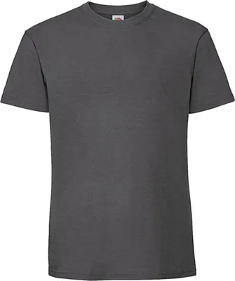 Image de T-shirt Iconic 195 Ringspun Premium
