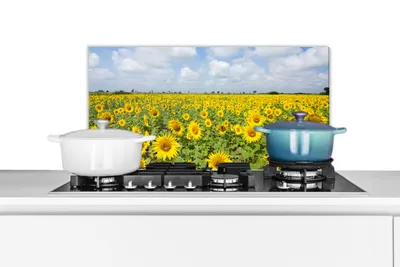 Obrázok produktu pre KitchenYeah® Splashback - kuchynský splashback - ochrana steny sporáka a drezu - slnečnice - kvety - mraky - príroda - žltá - krajina 70x30 - Alu-Dibond (alternatíva k sklenenému splashbacku)