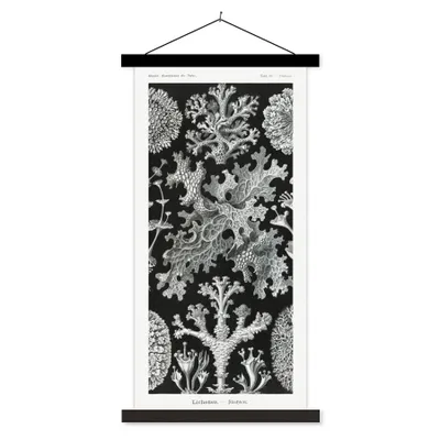 Produktbild von MuchoWow® Textilposter Kunst - Koralle - Ernst Haeckel - Alte Meister - Natur 60x120 cm mit schwarzem Rahmen - Magnete