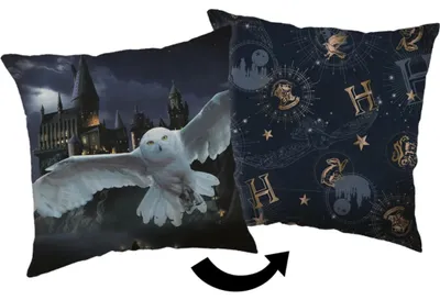 Imagen del producto de Jerry Fabrics, Harry Potter, Hogwarts, cojín decorativo, cojín de 40x40 cm, Hedwig, castillo
