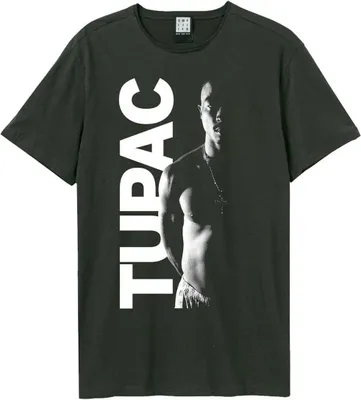 Image de Amplified - T-shirt pour homme/femme unie GD690 (L) (Charbon de bois)