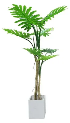 Productafbeelding van 160 cm kunstplant Philodendron