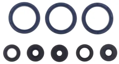 Obrázek produktu pro Athena Motorsimmerringsatz, Motorsimmerringsatz – P400250400071