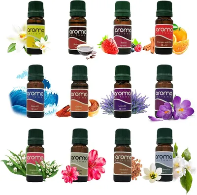 Produktbild von Hydro Parfümöl Set 12x10 ml – wasserlösliche Duftöle für Diffuser, Raumduft&Aromatherapie – fruchtig, blumig, Vanille, Sandelholz, Lavendel - Dellart