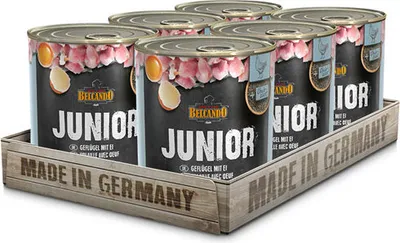 Produktbild von 6 x 800 g Belcando Junior Geflügel mit Ei