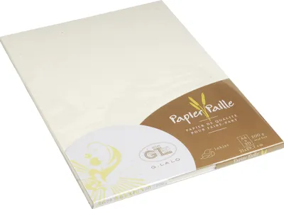 Produktbild von G.Lalo 5x Lalo, Packung 20 Bl DIN A4, 200g, Paille/Strohpapier Elfenbein 41616L