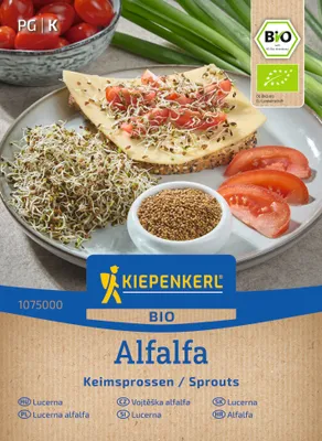 Produktbild von Kiepenkerl Keimsprossen-Saat Alfalfasamen Medicago sativa 40 g