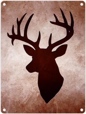Produktbild von Hirschkopf Silhouette Metallschild in 15x20 cm für Jagdfans