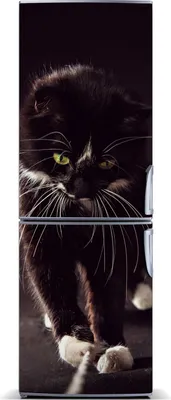 Produktbild von Tulup Kühlschrankdekoration - Magnetmatte - 60 cm x 180 cm - Magnet auf dem Kühlschrank - Schwarze Katze