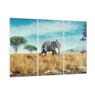 Produktbild von Bilder auf glas - 3 Teile - Surreal Elefant Rippen - 105x70cm - Glasbilder - Wandbilder - Bilder - zum Aufhängen bereit - Wanddekoration aus Glas - Glas Bilder - Wandbild auf Glas - GCE105x70-4717