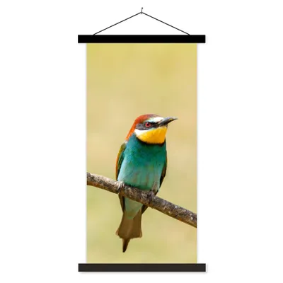 Produktbild von MuchoWow® Textilposter Vögel - Tiere - Bienenfresser 60x120 cm mit schwarzem Rahmen - Magnete