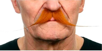 Immagine prodotto di Mamma Baffi Arancione Arancione Taglia unica