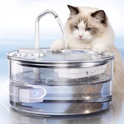 Glas Trinkbrunnen für Katzen, 3,2 l, leise, mit Filter