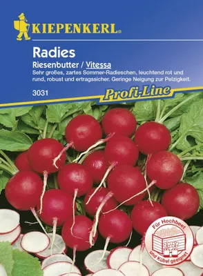 Produktbild von Kiepenkerl Radieschen Riesenbutter Vitessa Raphanus sativus var. sativus, Inhalt: ca. 10 lfd. Meter