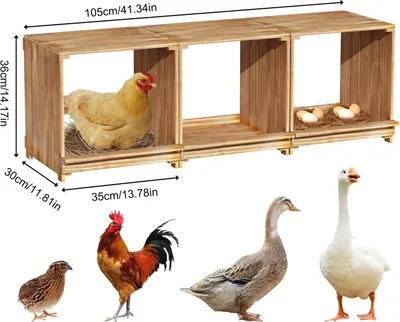 Produktbild von Hühnernest - Legenest Box mit 3 Kammern - Kiefernholz - Für Hühner und Eierlegen - Verhindert Herunterfallen der Eier - Holzfarbe