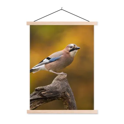 Produktbild von MuchoWow® Textilposter Vogel - Zweig - Eichelhäher 120x160 cm mit holzfarbenen Rahmen - Plakatkarton