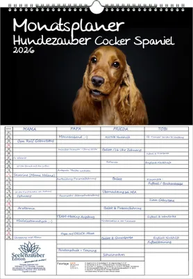 Produktbild von Hundezauber Cocker Spaniel Planer Familienplaner 4 Spaltenplaner DIN A3 Kalender für 2026 Welpen und Hunde - Seelenzauber