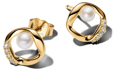 Immagine prodotto di Gioielli Pandora Mod. 264662C01