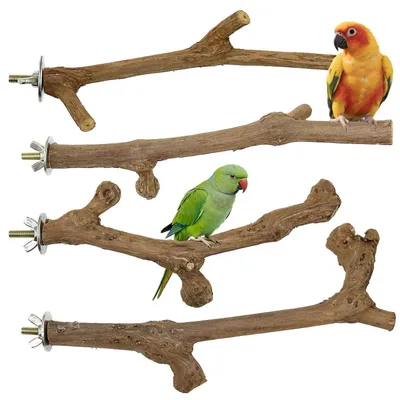 Immagine prodotto di Set di posatoi in legno naturale per uccelli, 4 pezzi, lunghezza 20-25 cm