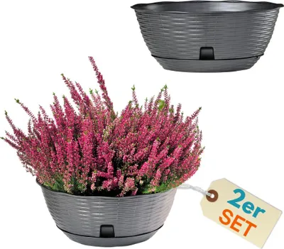 Produktbild von 2er Set Pflanzschale Blumenschale Pflanzschalen für draussen Bonsai Topf Pflanzschale Rund inkl. Untersetzer Grabschale Anthrazit 30 cm