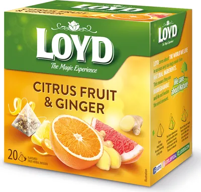 Obrázek produktu pro Expresní ovocný čaj citronový se zázvorem Loydsáček 20ks