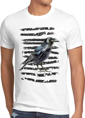 Produktbild von style3 Krähe Herren T-Shirt winter vogel halloween