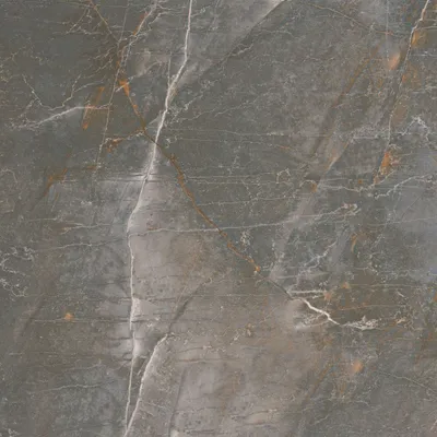 Produktbild von Bodenfliese Feinsteinzeug Arch 60 x 60 cm grey
