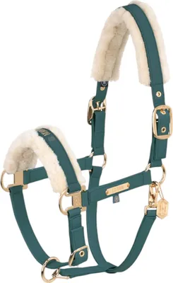 Image de Eskadron Heritage 24/25 Faux cuir Double Pin Ff licol