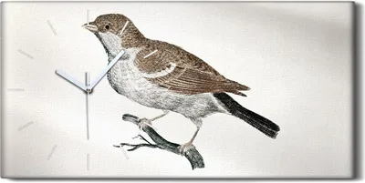 Produktbild von Küchenuhr Bürouhr Leinwand Uhr Quarz 60x30 Zeichnung Tier Vogel Zweig Kunst - weiße Hände