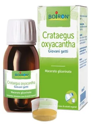 Produktbild von CRATAEGUS BOIRON, Glycerin-Extrakt, 60 ml