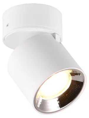 Zdjęcie produktu dla Reflektor spot Guayana biały 1xGU10x10W metal wym:12x8,7x8,7cm IP20 Trio