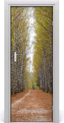 Imagen del producto de Adhesivo decorativo para pared, 75x205 cm. Adhesivo autoadhesivo, impermeable, papel tapiz removible. Ideal para dormitorios, salones y decoración del hogar. Marca: Birkenwald
