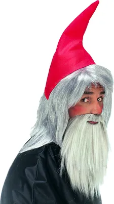 Immagine prodotto di Cappello e barba da nano accessorio per costume rosso-grigio
