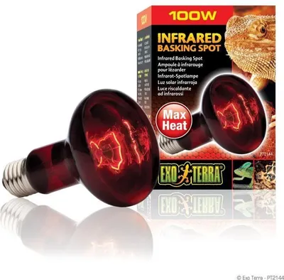 Zdjęcie produktu dla Żarówka Grzewcza do Terrarium Exo Terra Basking Spot, Infrarouge, 100W, dla Reptilii