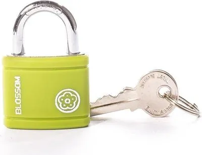 Image de Cadenas Bx0132 Vert