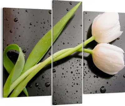 Produktbild von Bild auf Leinwand - Leinwandbild - Tulpen Blume Pflanzung Pflanze - 95x80cm - Wand Bild - Wanddeko - Leinwanddruck - Bilder - Kunstdruck - Wanddekoration - Leinwand bilder - Wandkunst - CB95x80-2301