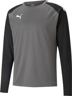 Produktbild von Puma Teamliga Sweat Herren - Grau
