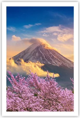 Produktbild von Poster - Poster ohne Rahmen - Fuji Blume Kirsche - 61x91,5 cm - Wand Bild - Wanddeko - Wandbilder - Kunstposter - Wandposter - Bilder - Kunstdruck - Wanddekoration - Wandbild - P2XPA61x91-4490
