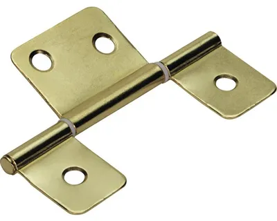 Produktbild von Lamellentürscharnier, vermessingt 22x81 mm, 3 Stück