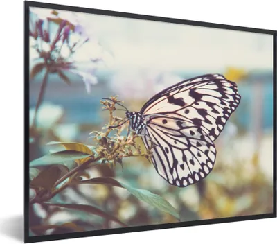 Produktbild von MuchoWow® Gerahmtes Poster Schmetterling - Blumen - Frühling 80x60 cm - Poster mit Schwarzem Bilderrahmen Wandposter Rahmen Foto Bilder - Schwarzem - Mit Gestell