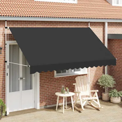 Image de vidaXL Store rétractable manuel 350 cm Anthracite