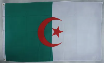 Produktbild von Flagge Fahne Algerien Algerienflagge Nationalflagge Nationalfahne